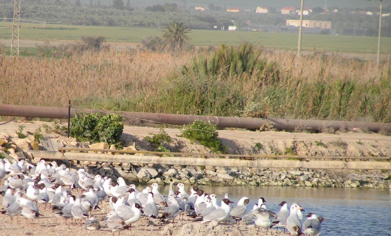 Jordan Valley Birding Lodge Kefar Ruppin Exteriér fotografie