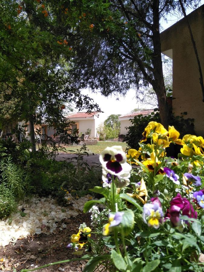 Jordan Valley Birding Lodge Kefar Ruppin Exteriér fotografie